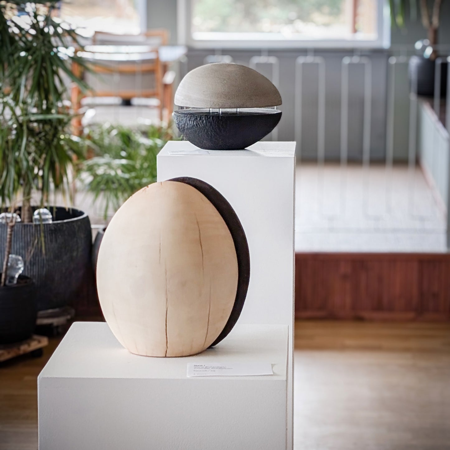 Nest I