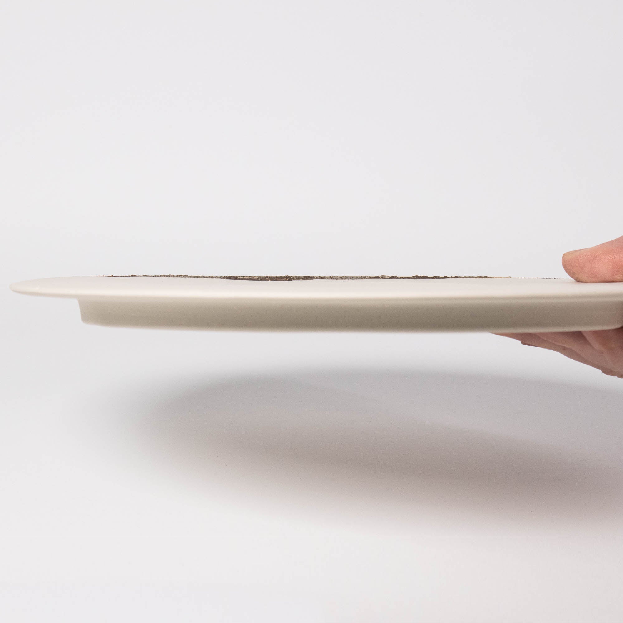HORIZON flat plate